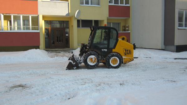 IMG 4051 L