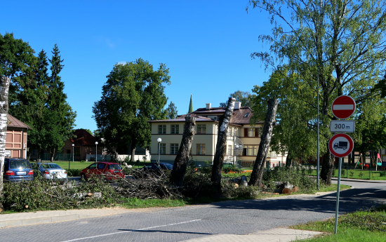 Izcērt bojātos un bīstamos kokus