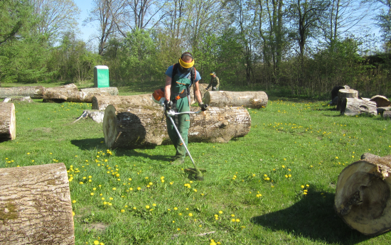 Pļaujam zāli Mārtiņsalā