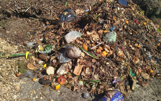 Bioloģiskos atkritumus šķirojam nepareizi