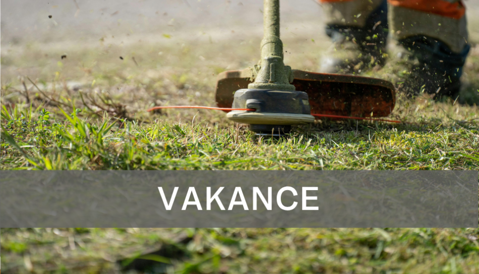 Piedāvājam darbu vasaras sezonā labiekārtošanas strādniekam