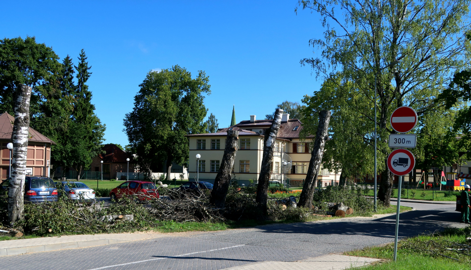 Izcērt bojātos un bīstamos kokus