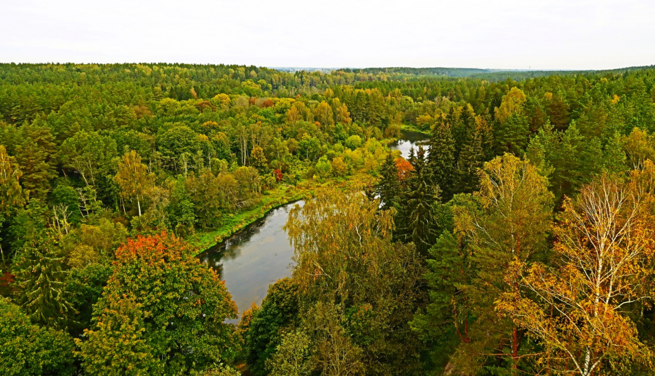 Skaisti ieskandināts rudens