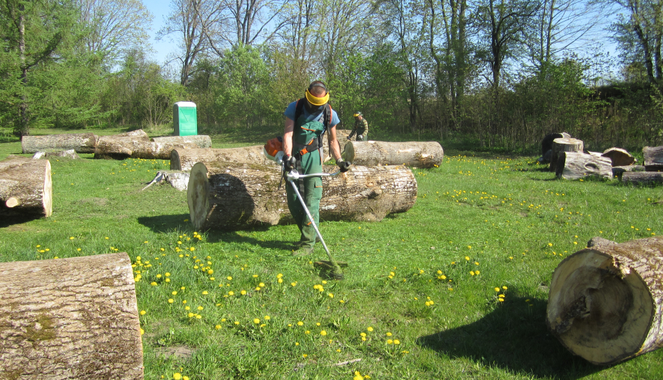 Pļaujam zāli Mārtiņsalā