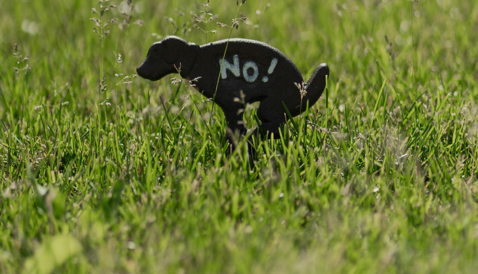 Lūdzu, savāc aiz sava suņa!